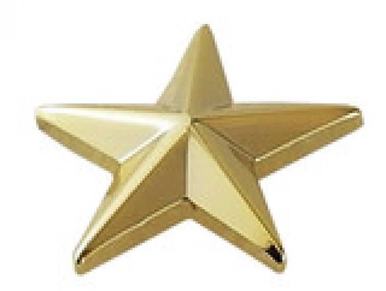 1 - STAR COLLAR PINS, 5/8" TALL - SOLD IN PAIRS.
